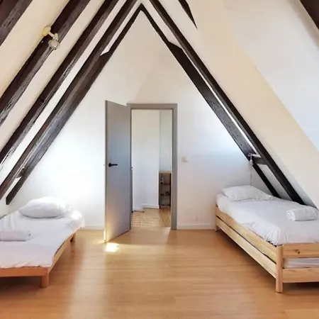 200m2 Triplex Proche Cathedrale Straßburg