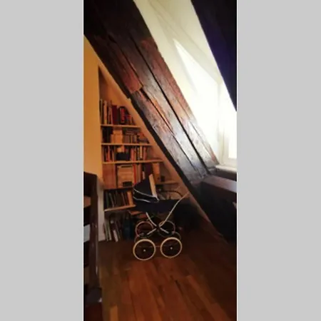 Apartment 200m2 Triplex Proche Cathedrale Straßburg
