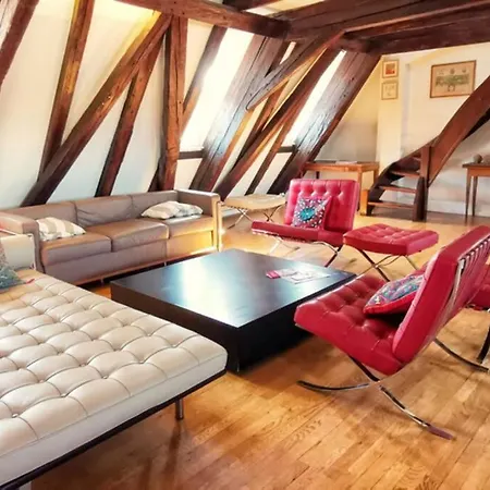 200m2 Triplex Proche Cathedrale Straßburg